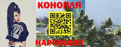 шишки Краснодар