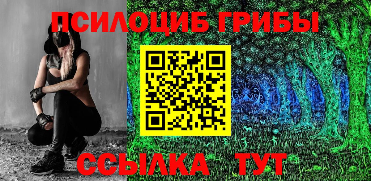 Псилоцибиновые грибы Psilocybine cubensis Елец